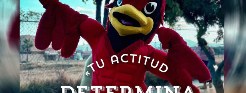 actitud